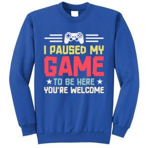 I Paused My Game To Be Here Gaming Funny Humor Joke Cute Gift Sweatshirt