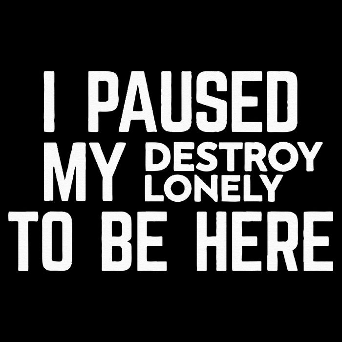 I Paused My Destroy Lonely To Be Here T-Shirt