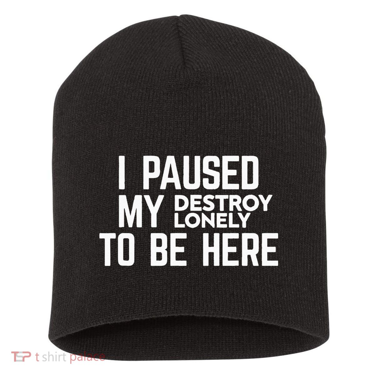 I Paused My Destroy Lonely To Be Here Short Acrylic Beanie