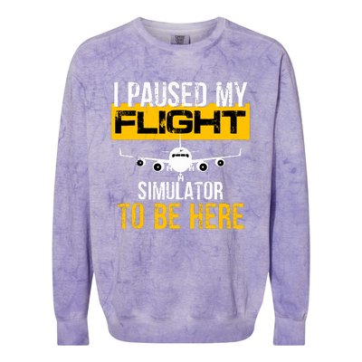 I Paused My Flight Simulator To Be Here To Best Pilot Colorblast Crewneck Sweatshirt