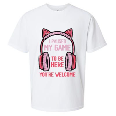 I Paused My Game To Be Here YouRe Welcome Retro Gamer Sueded Cloud Jersey T-Shirt