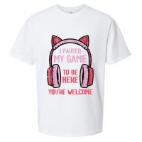 I Paused My Game To Be Here YouRe Welcome Retro Gamer Sueded Cloud Jersey T-Shirt