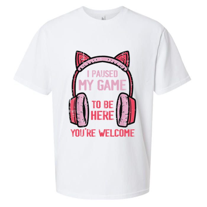 I Paused My Game To Be Here YouRe Welcome Retro Gamer Sueded Cloud Jersey T-Shirt