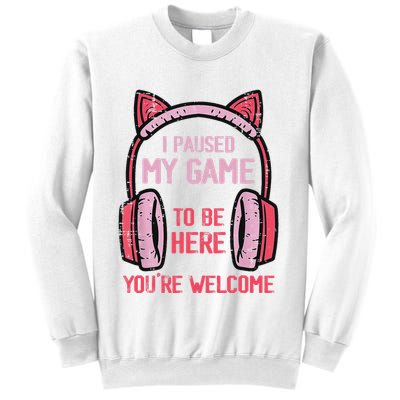 I Paused My Game To Be Here YouRe Welcome Retro Gamer Sweatshirt