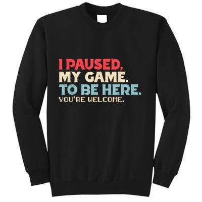 I Paused My Game To Be Here YouRe Welcome Retro Gamer Gifts Sweatshirt