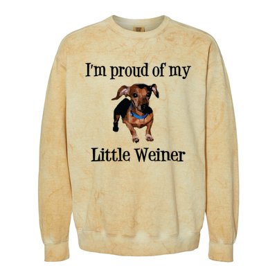 Im Proud Of My Little Weiner Funny Dog Lover Animal Lover Colorblast Crewneck Sweatshirt