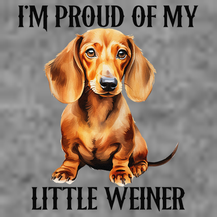 I’M Proud Of My Little Weiner Funny Wiener Dog Hooded Wearable Blanket