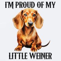 I’M Proud Of My Little Weiner Funny Wiener Dog Sueded Cloud Jersey T-Shirt