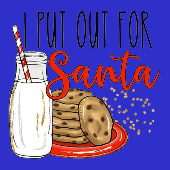 I Put Out For Santa Funny Christmas Family Milk Cookie Great Gift Premium T-Shirt
