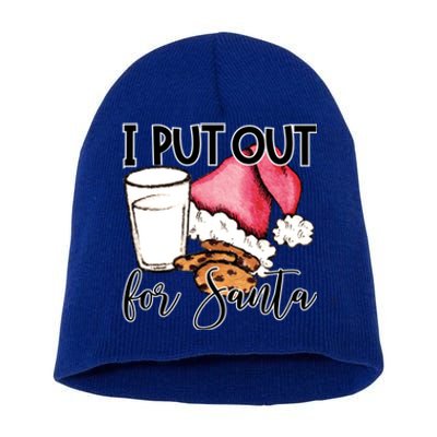 I Put Out For Santa Cookies And Milk Gift Short Acrylic Beanie