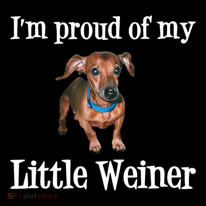 IM Proud Of My Little Weiner Funny Dachshund Dog Lover Baby Bodysuit