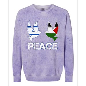 Israel Palestine Peace Friendship Pigeons gift Colorblast Crewneck Sweatshirt