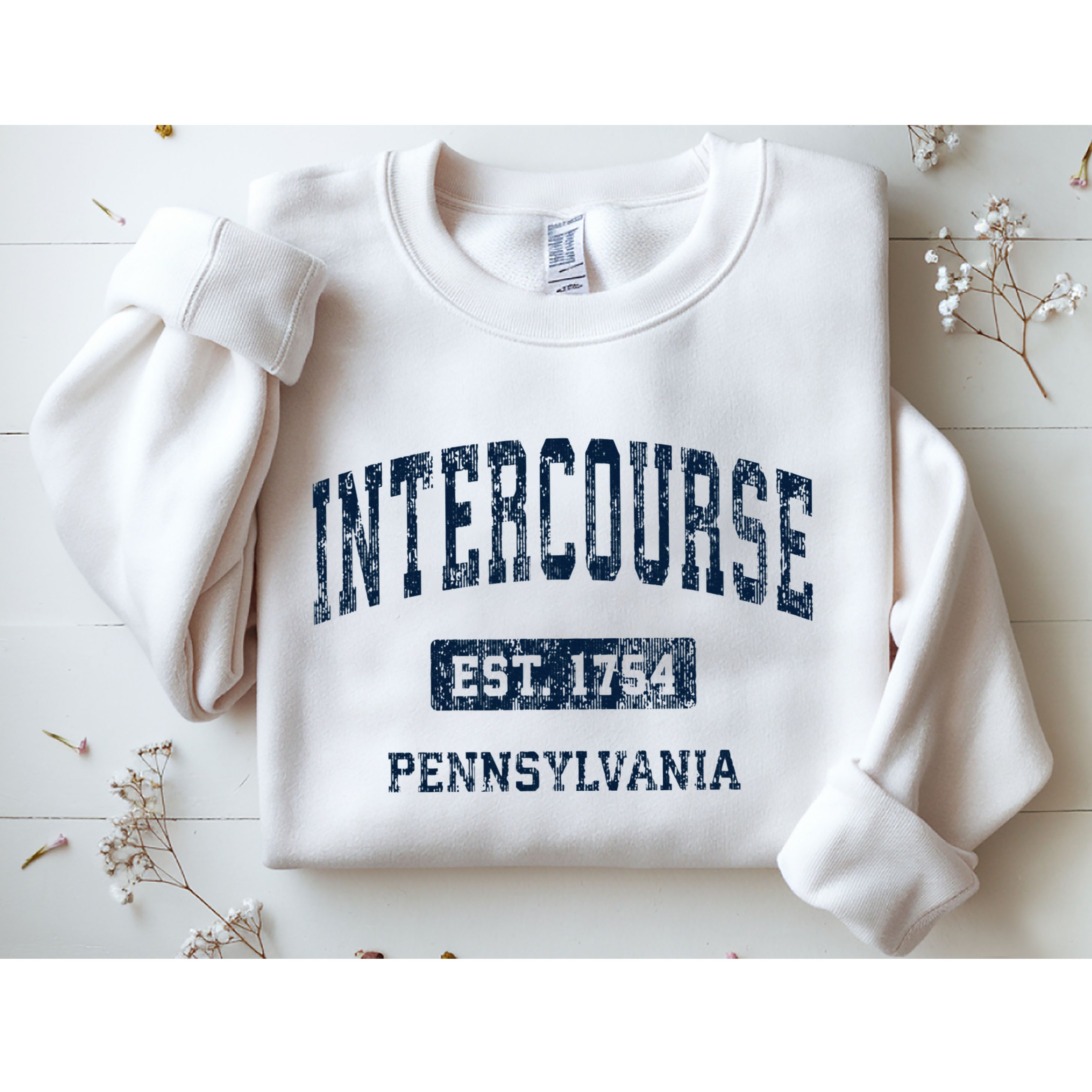 Intercourse Pennsylvania Pa Vintage Athletic Sports Design Sweatshirt