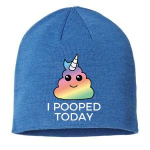 I Pooped Today Sarcastic Adult Humor Party Sustainable Beanie