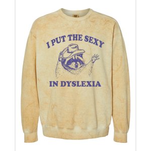 I Put The Sexy In Dyslexia Funny Raccoon Colorblast Crewneck Sweatshirt