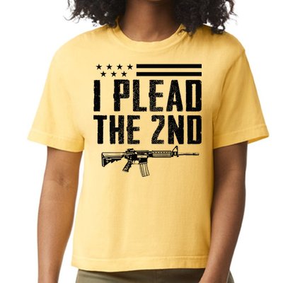 I Plead The 2nd Amendment Pro Gun Ar15 Rifle Comfort Colors Boxy T-Shirt