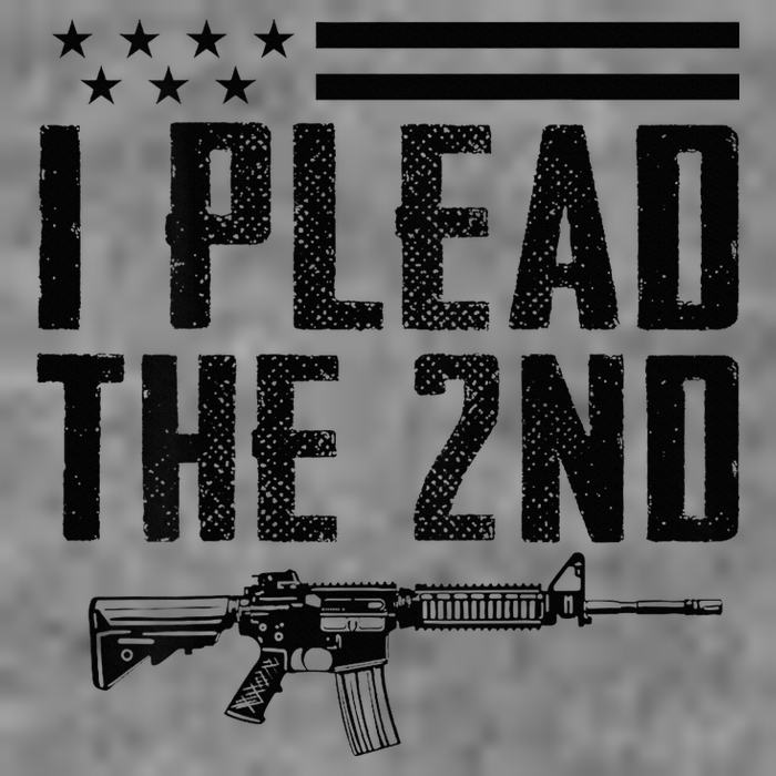 I Plead The 2nd Amendment Pro Gun Ar15 Rifle 7-Panel Snapback Hat