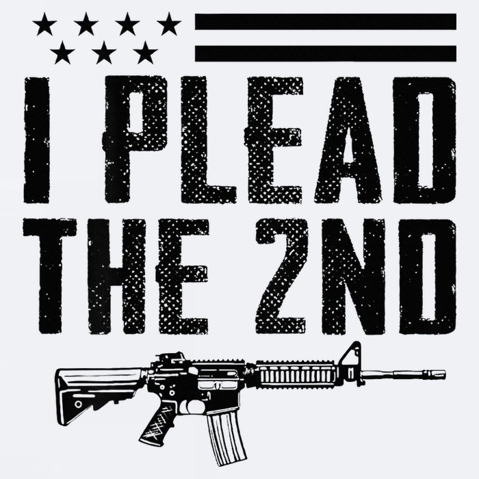 I Plead The 2nd Amendment Pro Gun Ar15 Rifle Sueded Cloud Jersey T-Shirt