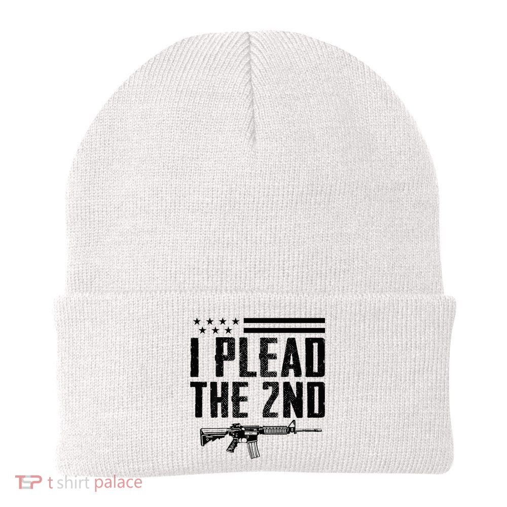 I Plead The 2nd Amendment Pro Gun Ar15 Rifle Beanie