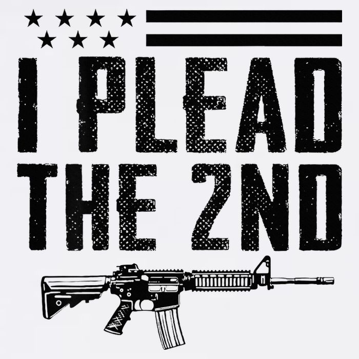 I Plead The 2nd Amendment Pro Gun Ar15 Rifle Cropped Pullover Crew