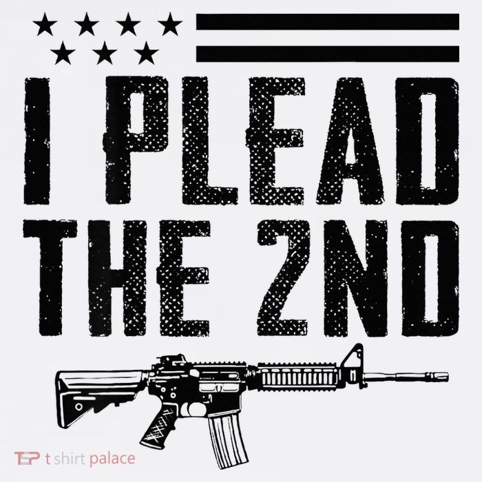 I Plead The 2nd Amendment Pro Gun Ar15 Rifle Womens T-Shirt
