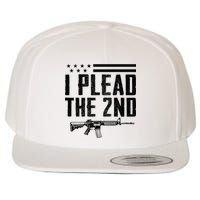 I Plead The 2nd Amendment Pro Gun Ar15 Rifle Wool Snapback Cap