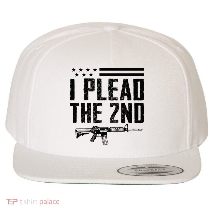 I Plead The 2nd Amendment Pro Gun Ar15 Rifle Wool Snapback Cap