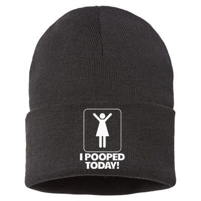 I Pooped Today Toilet Humor Funny I Pooped Today Sustainable Knit Beanie