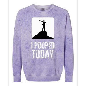 I Pooped Today Colorblast Crewneck Sweatshirt