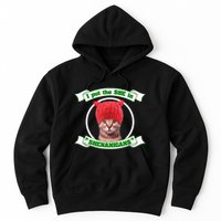 I Put The She In Shenanigans T St PaddyS Day Edition Hoodie