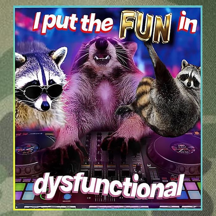 I Put The Sun Dysfunctional Racoon Meme Legacy Tie Dye Trucker Hat