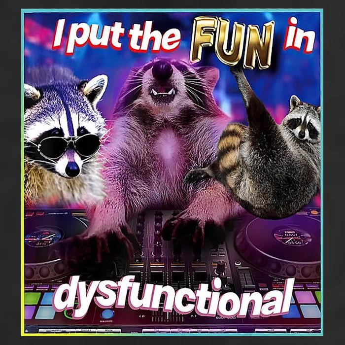I Put The Sun Dysfunctional Racoon Meme 7 Panel Mesh Trucker Snapback Hat