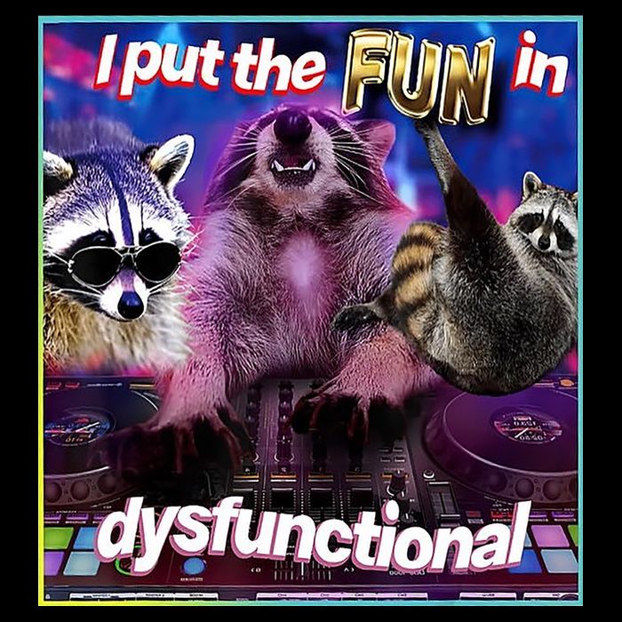 I Put The Sun Dysfunctional Racoon Meme Youth Performance Sprint T-Shirt