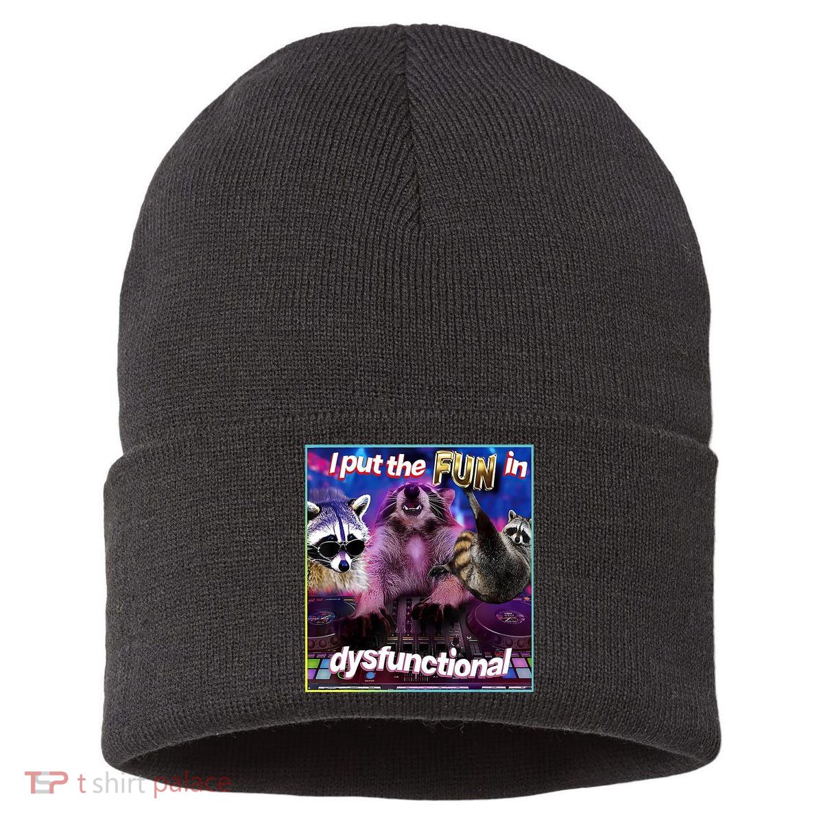 I Put The Sun Dysfunctional Racoon Meme Sustainable Knit Beanie