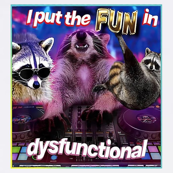 I Put The Sun Dysfunctional Racoon Meme Garment-Dyed Sweatshirt