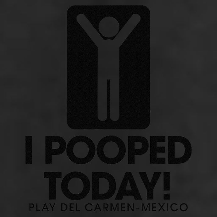I Pooped Today Playa Del Carmen Mexico 7 Panel Mesh Trucker Snapback Hat