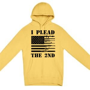 I Plead The 2nd Cute Gift Second Adt Funny Gift Pro Gun Gift Premium Pullover Hoodie