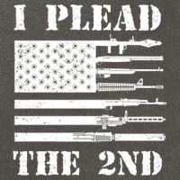 I Plead The 2nd Cute Gift Second Adt Funny Gift Pro Gun Gift Cotton Canvas Backpack