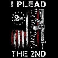 I Plead The 2nd We The People USA Flag AR 15 Rifle Cooling Performance Crew T-Shirt
