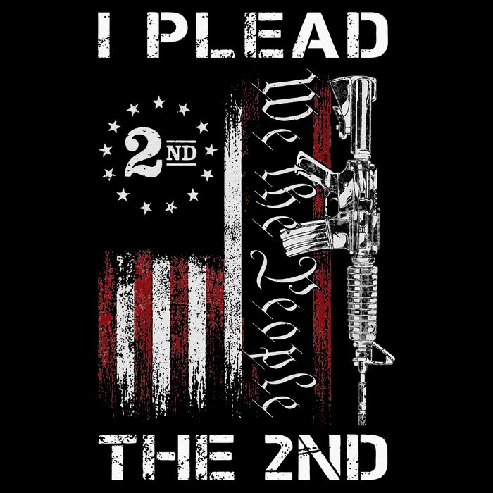 I Plead The 2nd We The People USA Flag AR 15 Rifle Cooling Performance Crew T-Shirt