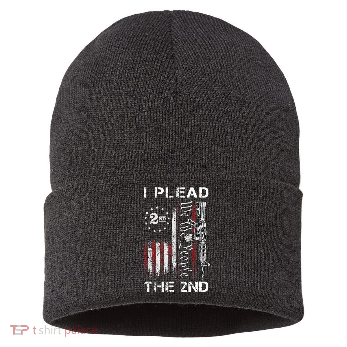 I Plead The 2nd We The People USA Flag AR 15 Rifle Sustainable Knit Beanie