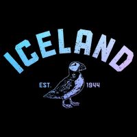 Iceland Puffin Vintage Icelandic Souvenir Baby Bodysuit