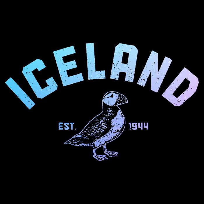 Iceland Puffin Vintage Icelandic Souvenir Baby Bodysuit