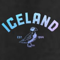 Iceland Puffin Vintage Icelandic Souvenir Hat