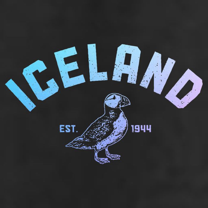 Iceland Puffin Vintage Icelandic Souvenir Hat