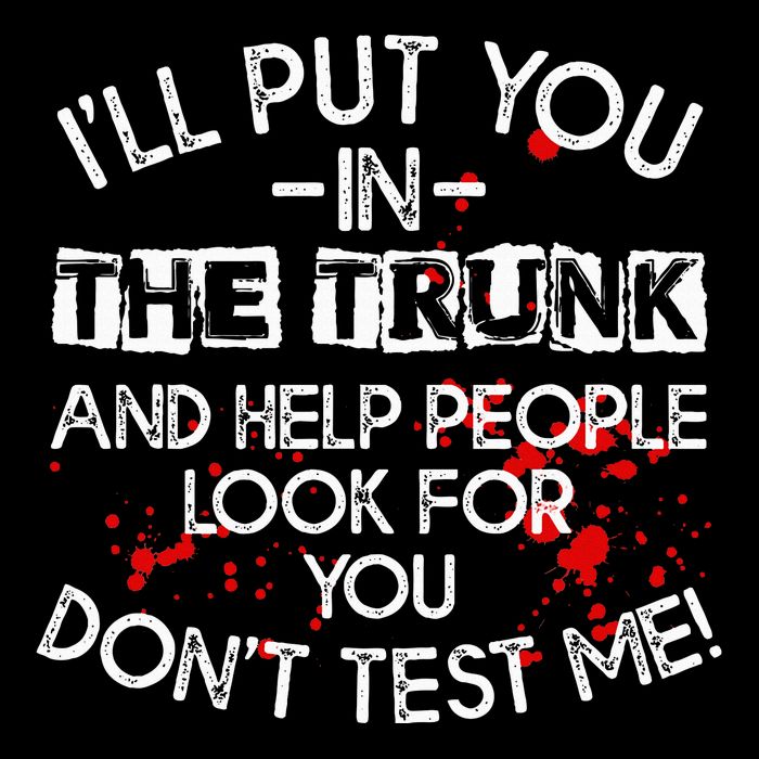 ILl Put You In The Trunk And Help People Look For You Funny Hoodie