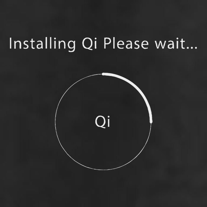 Installing Qi Please Wait Qigong Trucker Hat