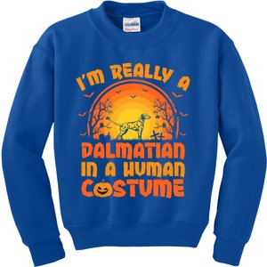 Im Really A Dalmatian In A Hu Costume Halloween Gift Kids Sweatshirt