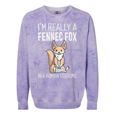 Im Really A Fennec Fox In A Human Costume Halloween Cute Colorblast Crewneck Sweatshirt