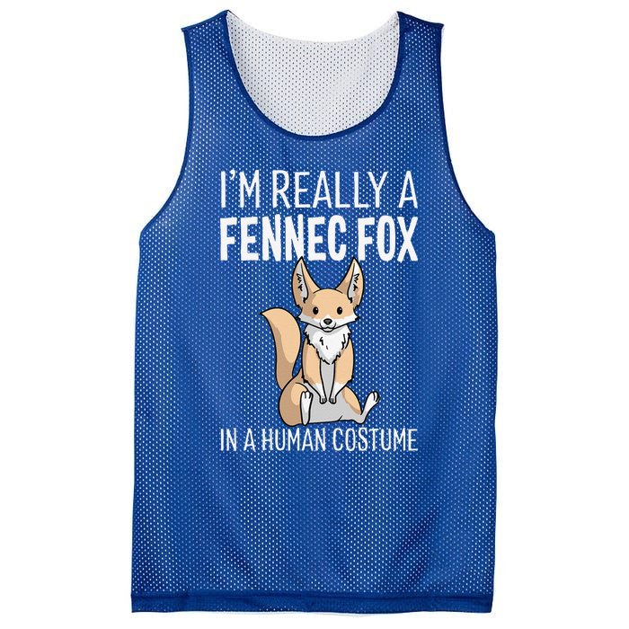 Im Really A Fennec Fox In A Human Costume Halloween Cute Mesh Reversible Basketball Jersey Tank